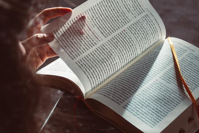 Las Mejores Estrategias para el Aprendizaje a Distancia